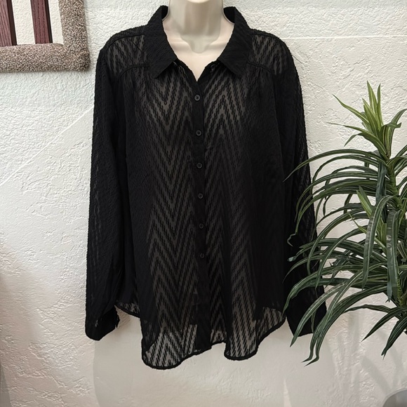 TORRID Women’s Black Sheer Long Sleeve Top Plus Size 2 EUC - Picture 1 of 14